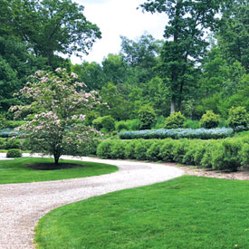 drivewayLandscape