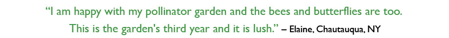 quote